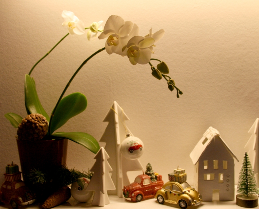 winterlandschaft-teelichthaus-autos-orchidee