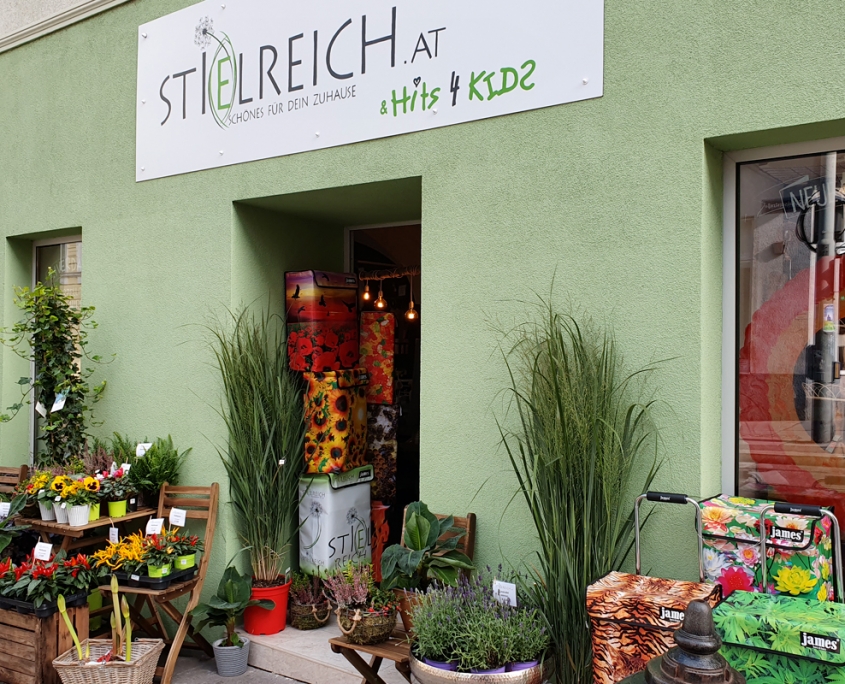 Outdoor Pflanzen Stielreich