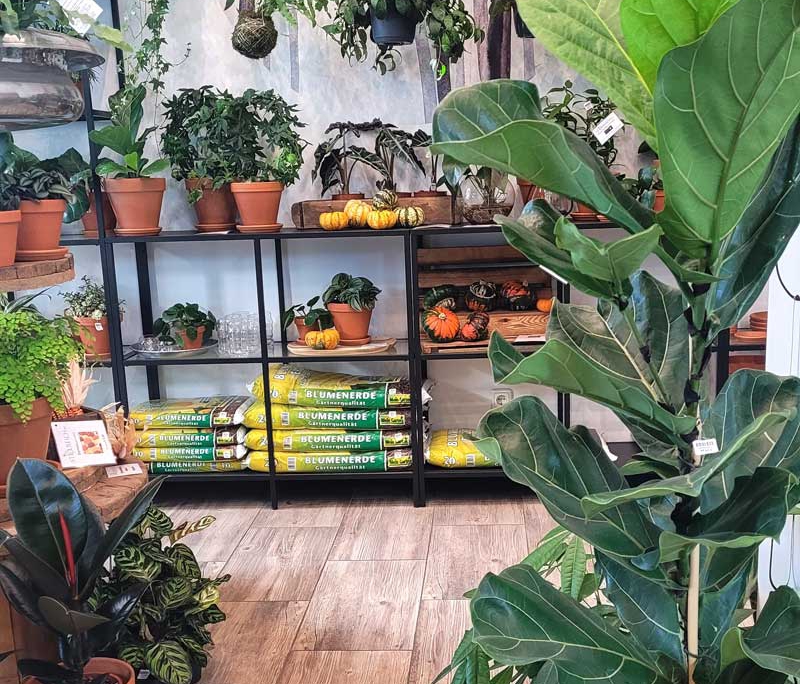 plantsandmorewien