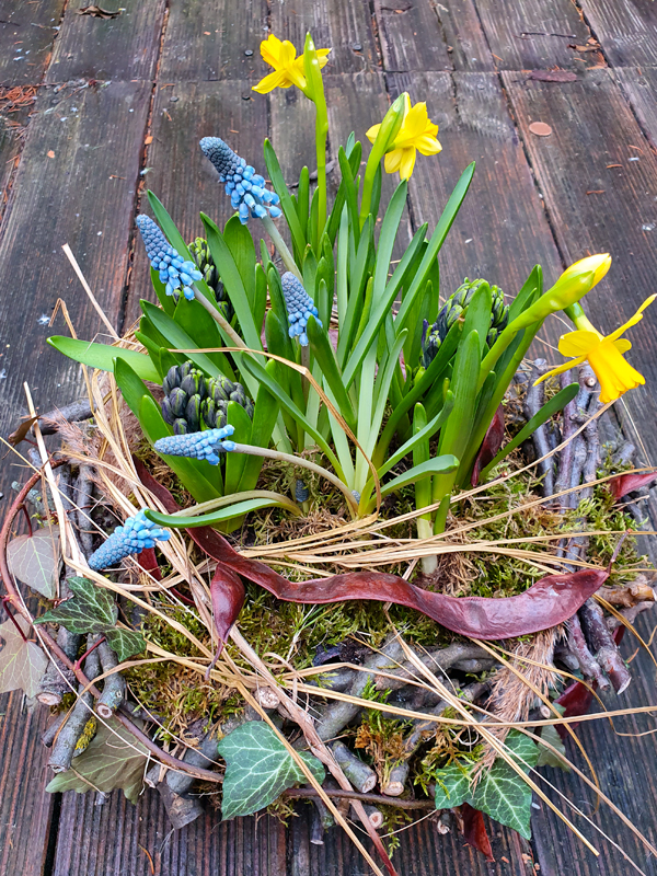 Korb mit Narcissen und Muscari