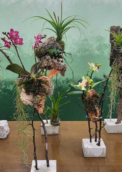 Kreativ Workshop - florale Objekte auf Kork