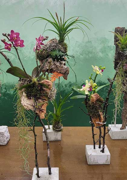 Kreativ Workshop - florale Objekte auf Kork Kreativ Workshop - florale Objekte auf Kork