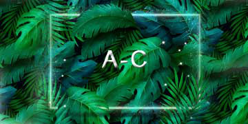A-C