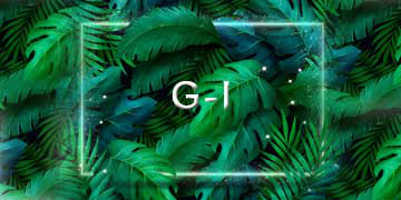 G-I