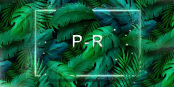 P-R
