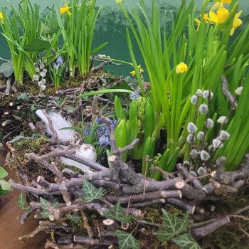 Workshop - Eine Schale drillen und frühlingshaft bepflanzen <br> 14. März 2026