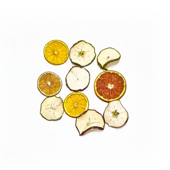 Stielreich Adventsschmuck Trockenfrüchte Orange Apfel Deko 10er Set