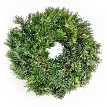 Adventkranz Pinus Schwarzföhre handgebunden gut haltbar 40/45 cm