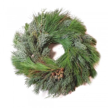 Kranz spezial Wintergrün mix Pinus und Konifere gut haltbar 30/35 cm