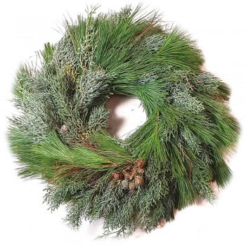 Kranz spezial Wintergrün mix Pinus und Konifere gut haltbar 40/45 cm