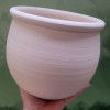 Workshop - lebende Wasserschale / living Plant Pot <br> Sa. 27. Februar 2027