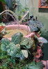 Workshop - lebende Wasserschale / living Plant Pot <br> Sa. 27. Februar 2027