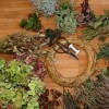 Workshop - Kranz binden - Herbstzauber zum Trocknen
