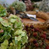 Workshop - Kranz binden - Herbstzauber zum Trocknen