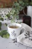 Krasilnikoff Cup Eucalyptus Blätter