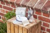 Stadtgärtner Blumenmurmeln Kit Bausatz Kreativset (für ca. 30 Seedballs)