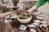 Stadtgärtner Blumenmurmeln Kit Bausatz Kreativset (für ca. 30 Seedballs)