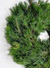 Adventkranz Pinus Schwarzföhre handgebunden gut haltbar 30/35 cm
