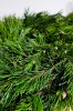 Adventkranz Pinus Schwarzföhre handgebunden gut haltbar 30/35 cm