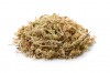 Sphagnum Moos 1 Kilo gepresst