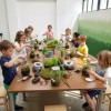 Workshop - Flaschengarten bepflanzen für Kinder